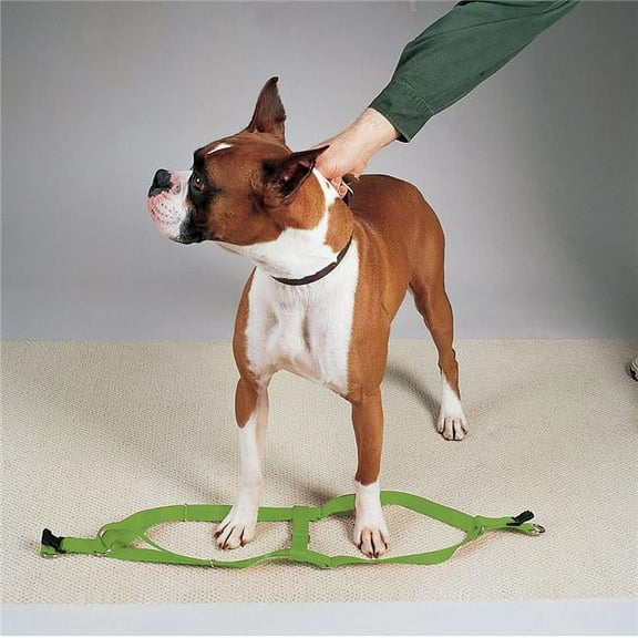 15-25 in. Nylon 2 Step Dog Harness, Green
