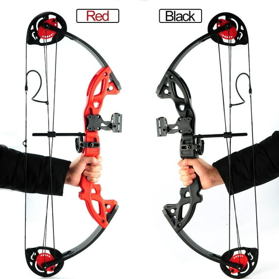 15-29lbs Teens Compound Bow Set Adjustable Twin Cam Hunting Bow for Youth/Teenager and Beginner Entry Level Practice Black
