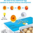 thumbnail image 1 of 15-35 Eggs Poultry Incubator with Auto  Turning & Temperature Display LED Candler for Chicken Duck Quail Eggs (Blue), 1 of 6