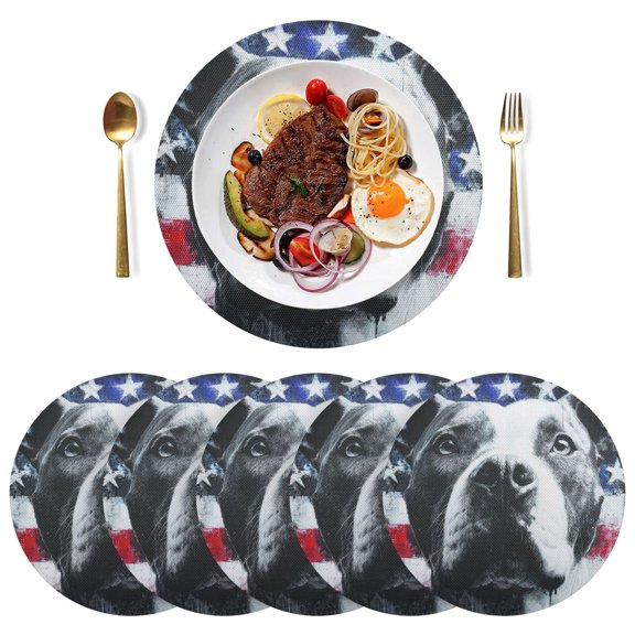 15.4 Inch Round Woven Placemats set of 6 for Dining Table Washable Heat Resistant Table Mats Non-Slip Washable Table Pad for Home Kitchen Decor Guardian Of The Old Glory