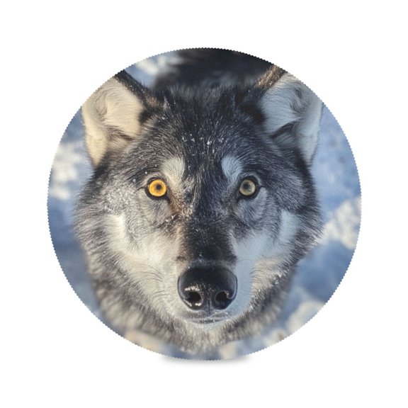 15.4inch Round Placemats, DIY Printing Design, Suitable for Kitchen, Table Party Decoration A Gray Wolf