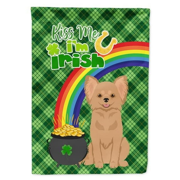 15.5 x 11.25 in. Longhaired Gold Chihuahua Saint Patricks Day Flag - Garden Size