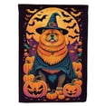 thumbnail image 1 of 15.5 x 11.25 in. Unisex Chow Chow Witchy Halloween Garden Flag, 1 of 1