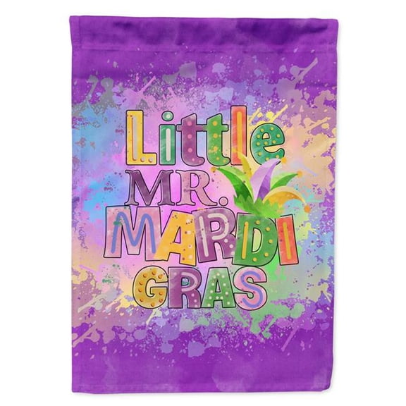 15.5 x 11.25 in. Unisex Little Mr. Mardi Gras Garden Flag