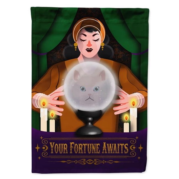 15.5 x 11.25 in. Unisex Napoleon Cat Halloween Garden Flag