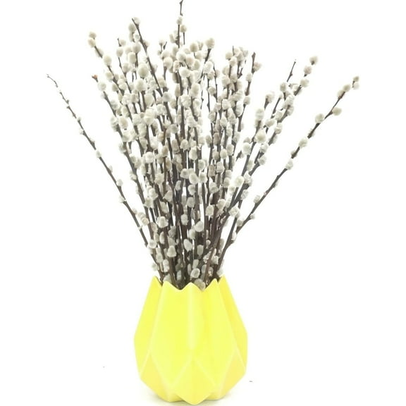 15.8In Real Dried Pussy Willows,QZS Natural Dried Flowers Decor for Wedding,20pcs Vases Pussy Willows with White Flowers for Wedding,DIY