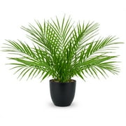 15"Artificial Palm Plant Real Touch Faux Tropical Palm Tree in Black Pot Home Indoor Living Room Tabletop Balcony Decorations