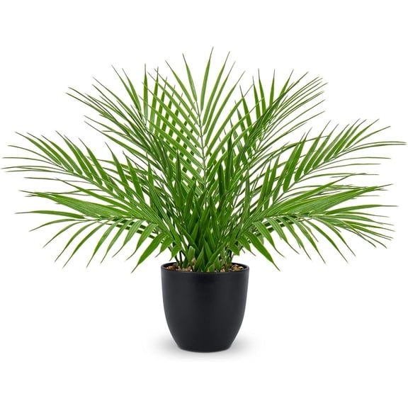 15'' Artificial Palm in Matte Black Pot Realistic Faux Tropical Palm Tree Houseplant for Indoor Living Room Tabletop Bedroom Decorations