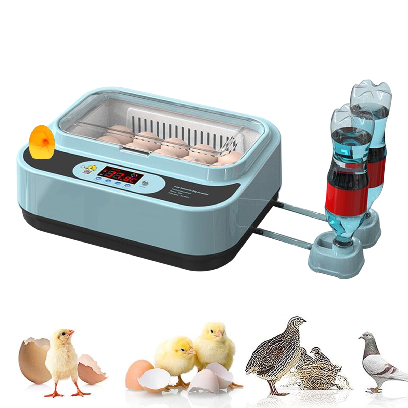 "15 Egg Incubators for Chickens, Incubators for Hatching Eggs Automatic