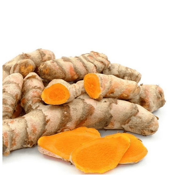 15 Fresh Orange Turmeric Roots Turmeric Ginger Herb Tubers Curcuma Longa Live Rhizomes, Ready To Planting