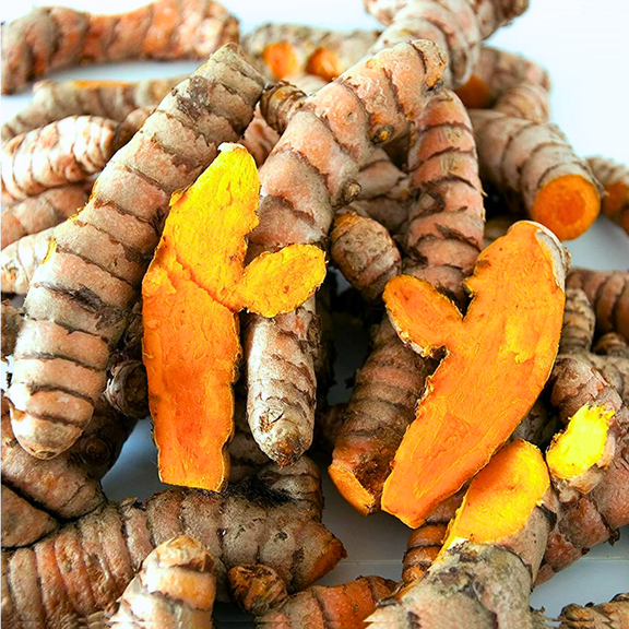 15 Fresh Turmeric Roots for Planting, Golden Orange Turmeric Ginger Whole, Perennial Herb, Curcuma Longa
