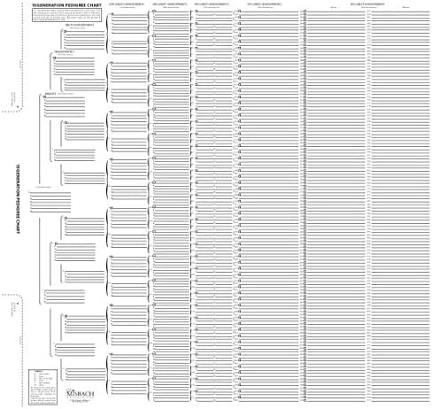 15 Generation Pedigree Chart | Blank Genealogy Forms for Family History and Ancestry Work