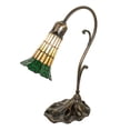 thumbnail image 1 of Meyda Tiffany 27084 15" Tall Gooseneck Table Lamp - Brass, 1 of 7