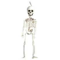 15-Inch Posable Halloween Skeleton Decoration – Spooky Home & Office Décor with Movable Joints for Halloween, Day of the Dead, and Haunted House Displays
