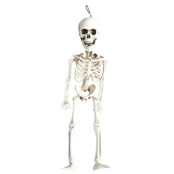 15-Inch Posable Halloween Skeleton Decoration – Spooky Home & Office Décor with Movable Joints for Halloween, Day of the Dead, and Haunted House Displays