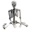thumbnail image 1 of 15-Inch Posable Halloween Skeleton Decoration – Spooky Home & Office Décor with Movable Joints for Halloween, Day of the Dead, and Haunted House Displays, 1 of 4