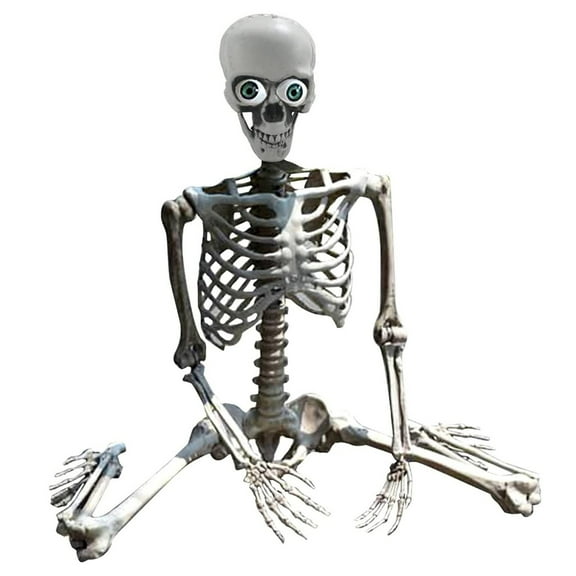 15-Inch Posable Halloween Skeleton Decoration – Spooky Home & Office Décor with Movable Joints for Halloween, Day of the Dead, and Haunted House Displays