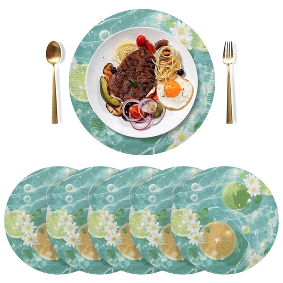 15 Inch Round Grid Plate Mats Heat Non-Slip Resistant PVC Placemats for Kitchen Dining Table Decor Oranges and Limes 1PCS