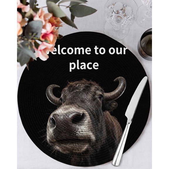 15 Inch Round Placemats Set of 4, Funny Yak Non Slip Heat Insulation PP Table Mats, Welcome To OUR Place Modern Retro Washable Place Mats for Kitchen Dining Party Table Decor