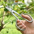 thumbnail image 1 of 15-Inch Stainless Steel Pruning Shears for Garden, Branch & Leaf Trimming, Plant Care Scissors for Flowerpots, Potted Plants, 1 of 6