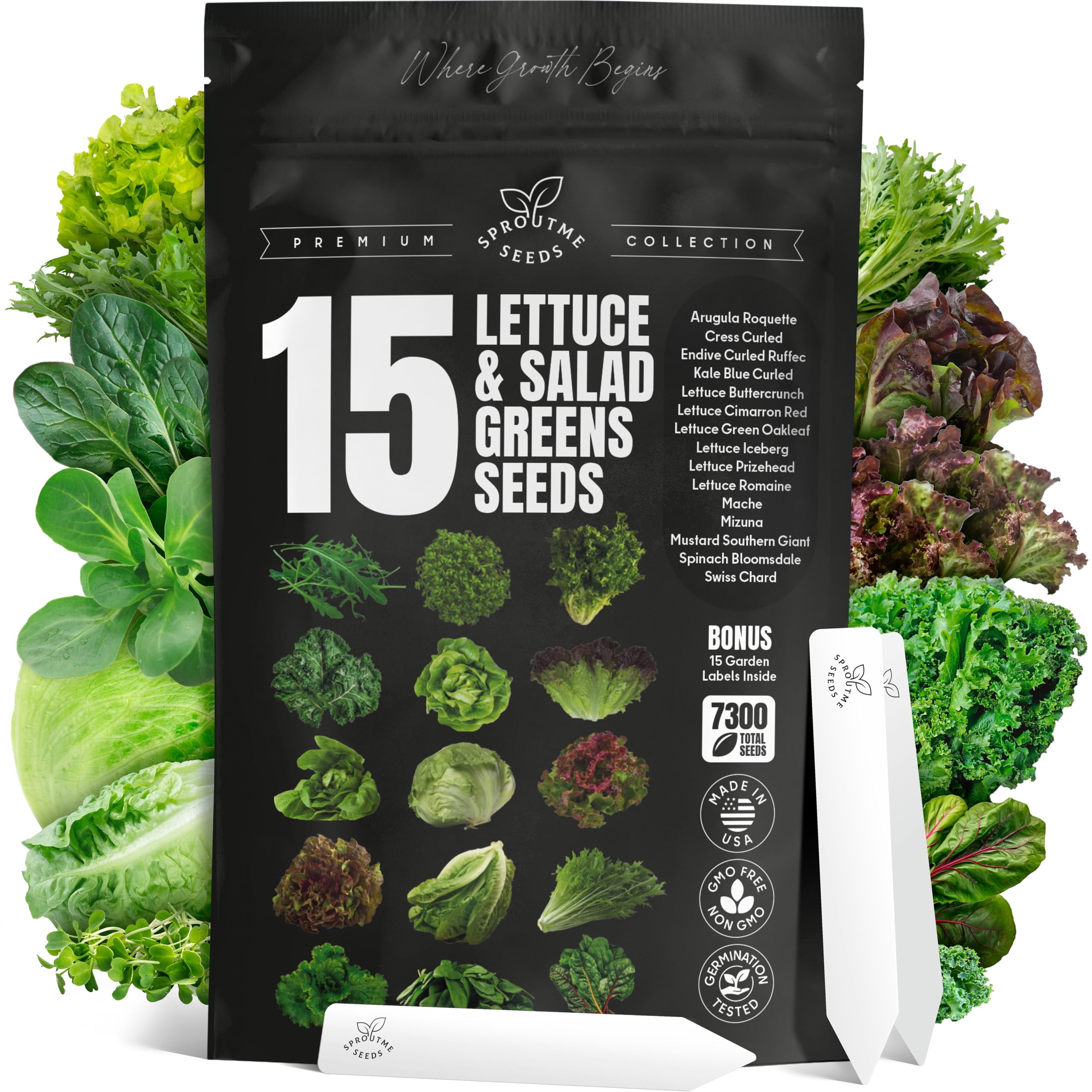 15 Lettuce & Salad Greens Seeds MVR1&nbsp;Variety Pack Lettuce Garden Salad Kit with Plant Labels 7300+ Non-GMO Heirloom Arugula Spinach Kale Iceberg Lettuce Seeds for Planting Outdoors Indoors