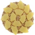 thumbnail image 1 of 15 PCS Artificial Plastic Pineapple Slice Fake Lifelike Slices for Home Kitchen Fruit Browl Decoration Realistic Photography Props, 1 of 3