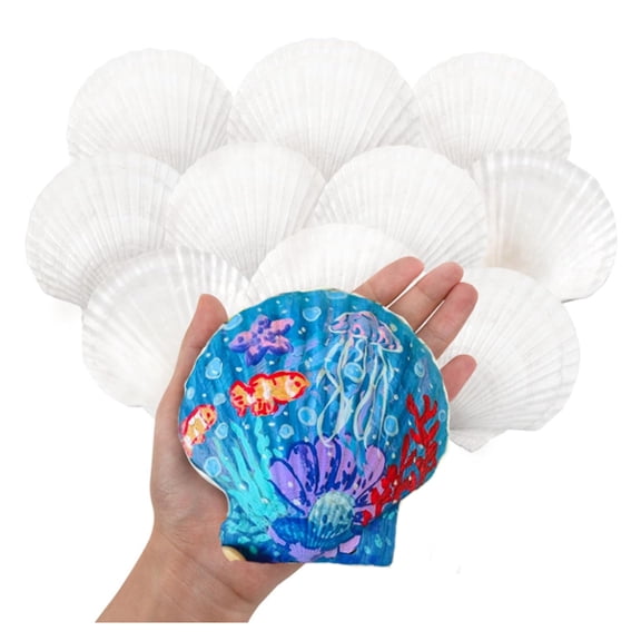 15 PCS Large Scallop Shells 4-4.7 Inch Natural White Scallop Shells from Sea Beach for DIY Painting, Craft, Baking, Beach Wedding & Home Decor