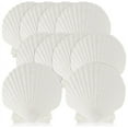thumbnail image 1 of Quaqdae 15 PCS Natural Sea Shell Large White, 4-4.7 Inch Scallop Shells for DIY Craft, Serving Food, Baking and More, 1 of 7