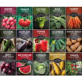 Vegetable Garden Seeds 15 Pack - Full Sun Annual Varieties