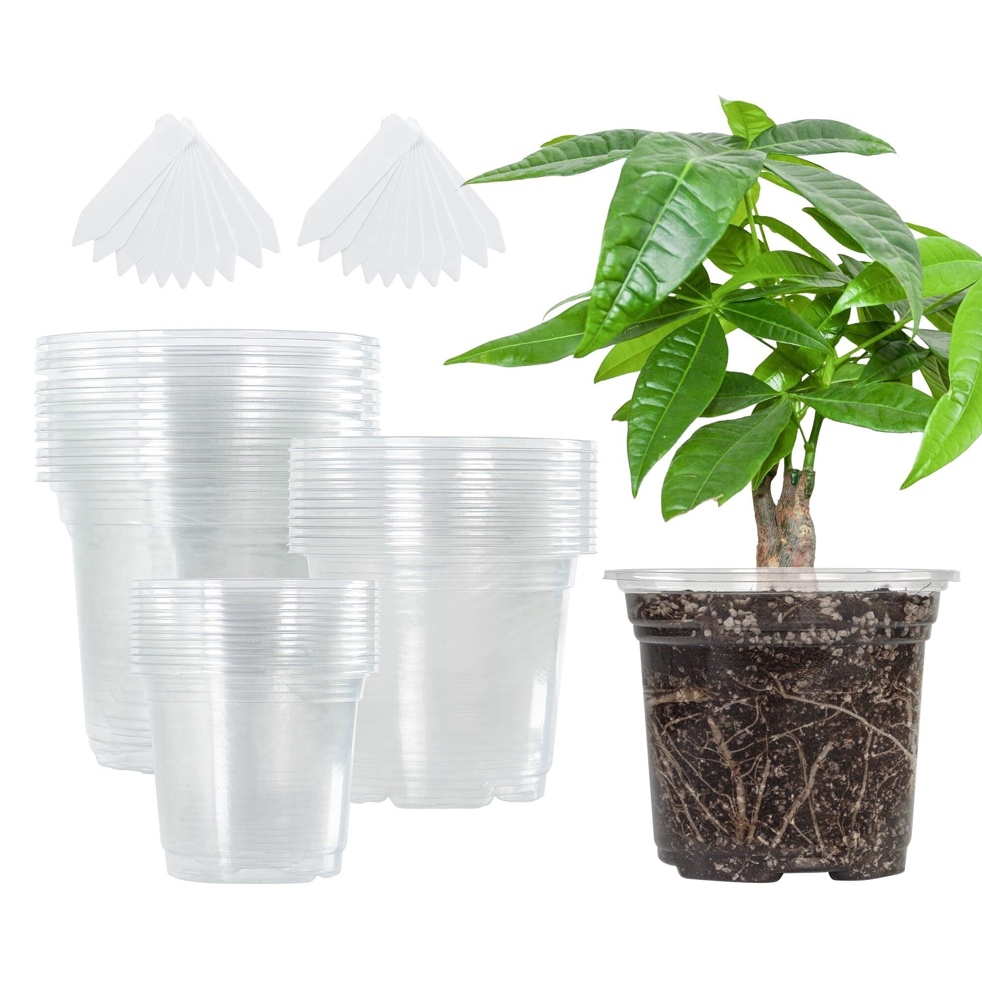 15 Packs 3 Inch Clear Nursery Pots with Humidity Domes, Variety Sizes ...