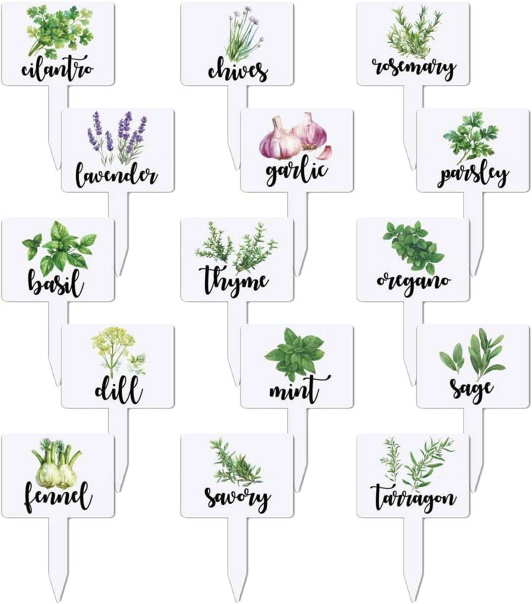 15 Pcs Acrylic Plant Label Signs Herbal Themed Waterproof Garden T ...