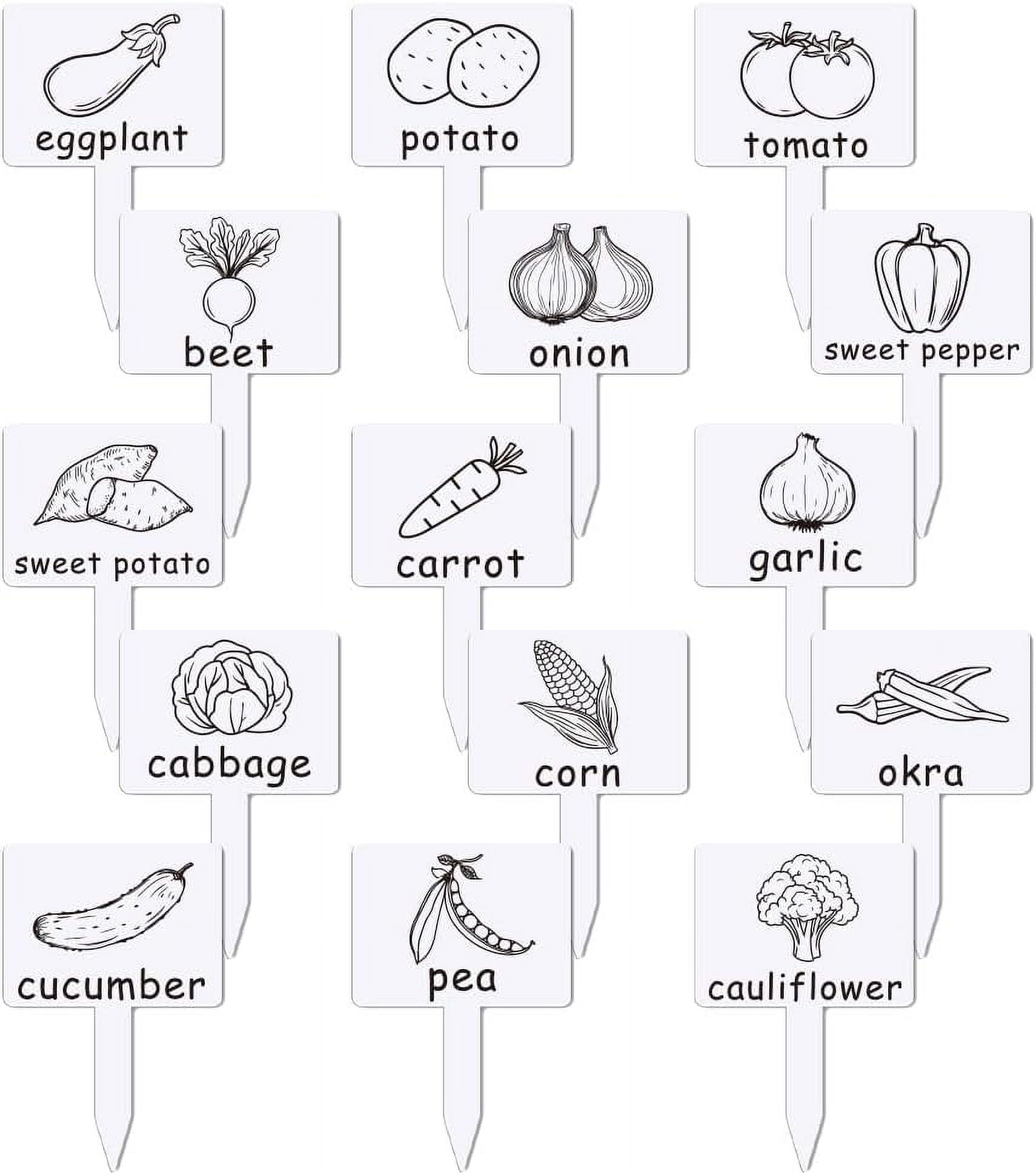 Vegetable Label Sign 15 Pcs Acrylic Plant Label Signs Vegetable Themed Waterproof Garden ...