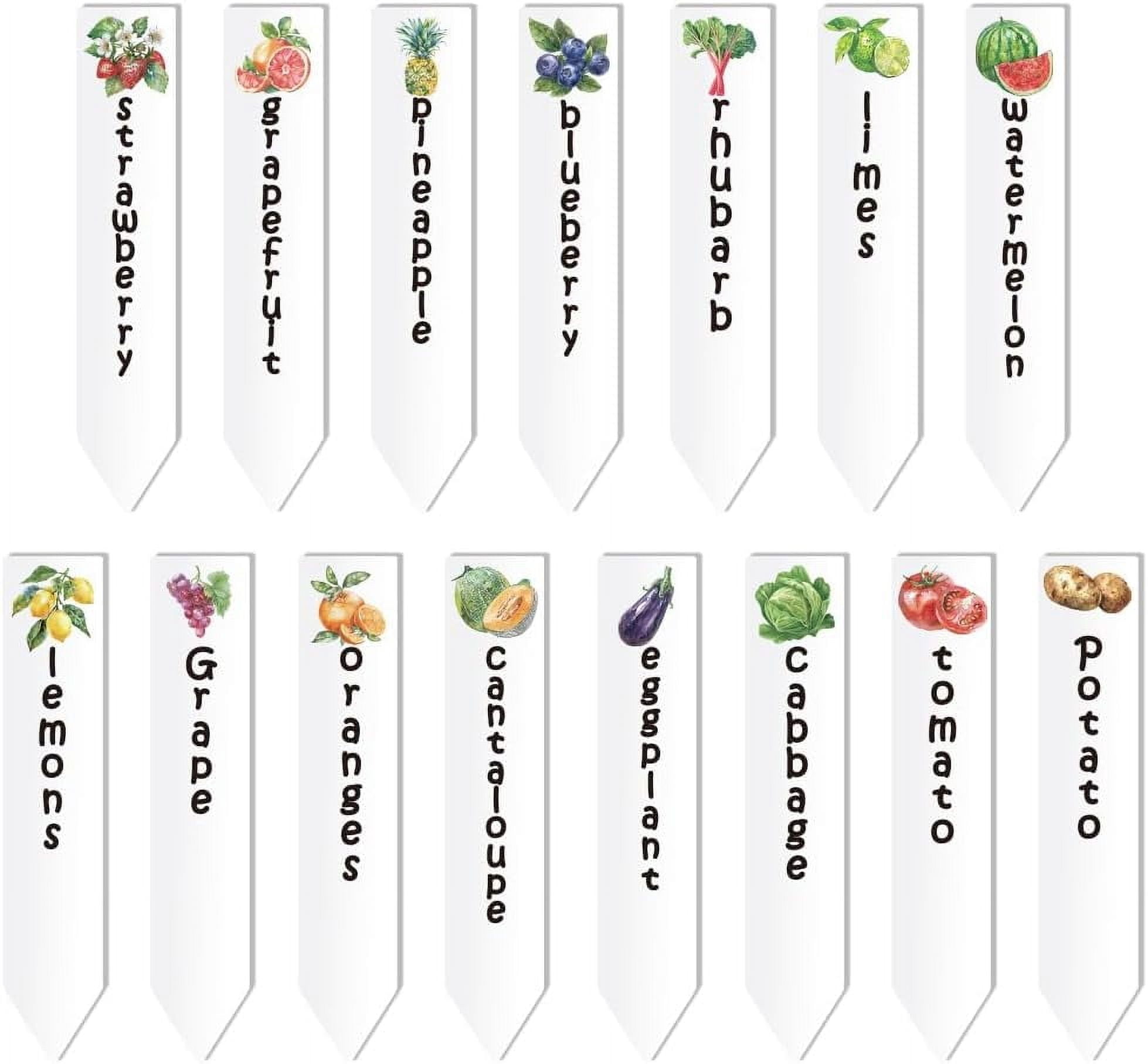 15 Pcs Acrylic Plant Label Signs tomato Potato lemon Grape fruit ...