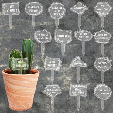 BigMouth Inc. Bathroom Urinal Plant Watering Stake – Hilarious Gag Joke Gift For Adults