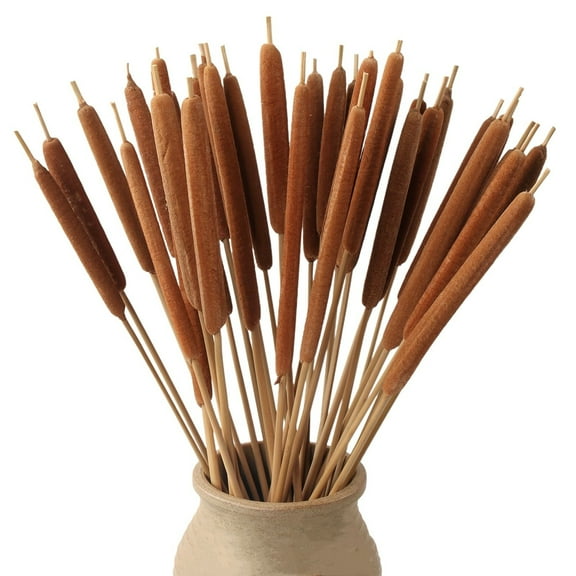 15 Pcs Dried Natural Cattails for DIY Floral Arrangements and Home Office Decor - 16 Inch Length