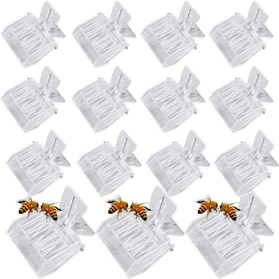 15 Pcs Queen Bee Cage Catcher Clip Transparent Plastic Beekeeping Tools kit
