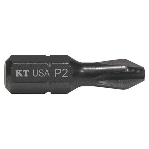 Klein Tools #2 Phillips Power Driver 1In Pk 15