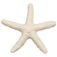 thumbnail image 1 of ckepdyeh 15 Pieces creamy-white Pencil Finger Starfish For Wedding Decor, Home Decor And Craft Project, 1 of 8