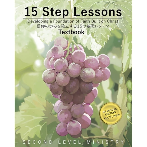 15 Step Lessons: Developing a Foundation of Faith Built on Christ, (Paperback)