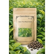 15 Tea Plant Seeds Camellia Sinensis   Tea Tree Seeds for Planting, Grow Your Own Green Tea, Black Tea & Oolong, Non-GMO Garden Seeds