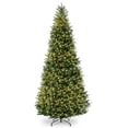 thumbnail image 1 of National Tree Company 15 ft. Natural Fraser Slim Fir Tree with Clear Lights, 1 of 3