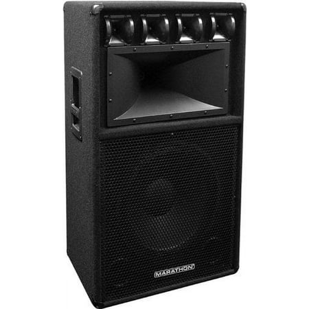 15-in Professional Speaker System w/17-in x 9-in Horn & Five 3.5-in Tweeters