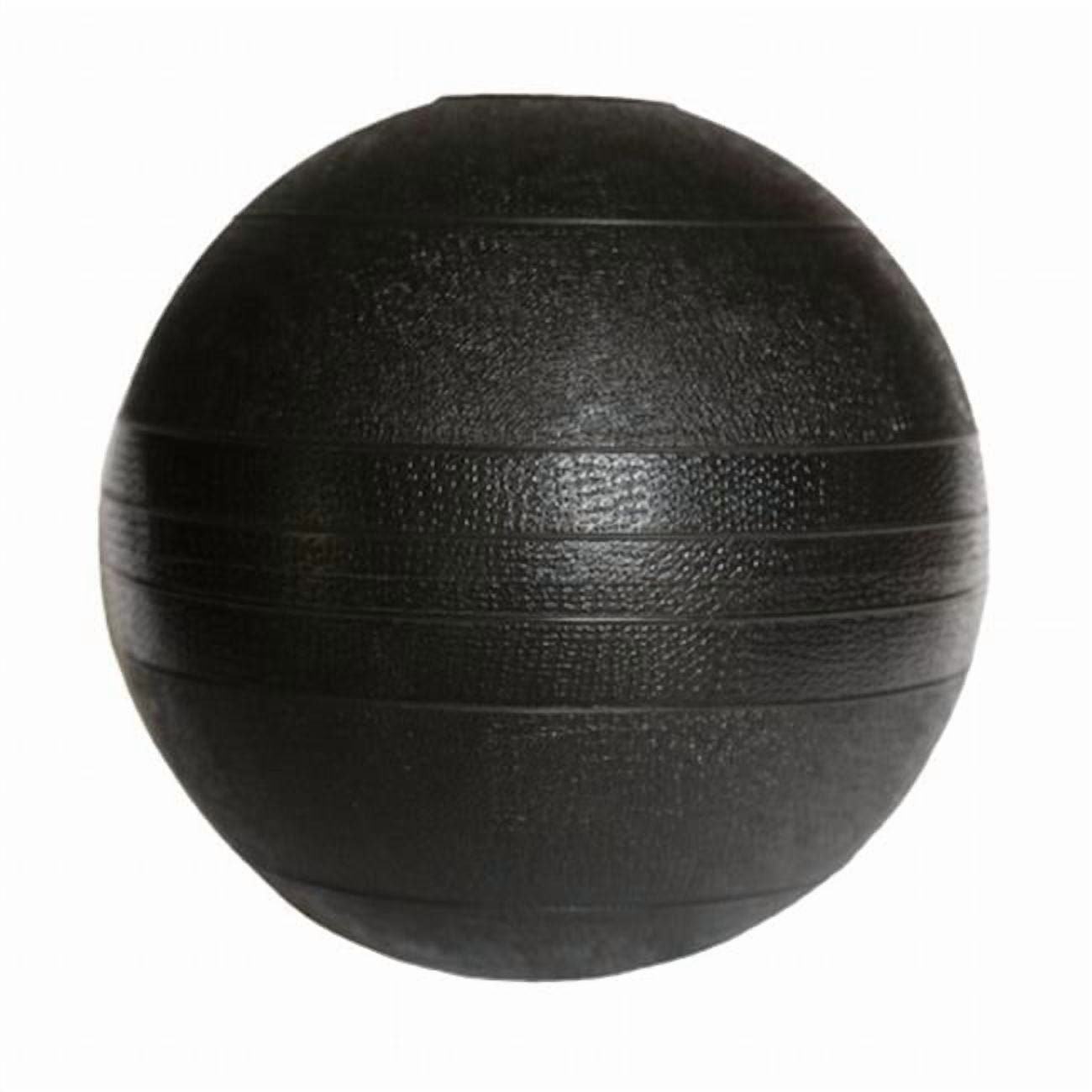 15 lbs. Dead Weight Slam Ball