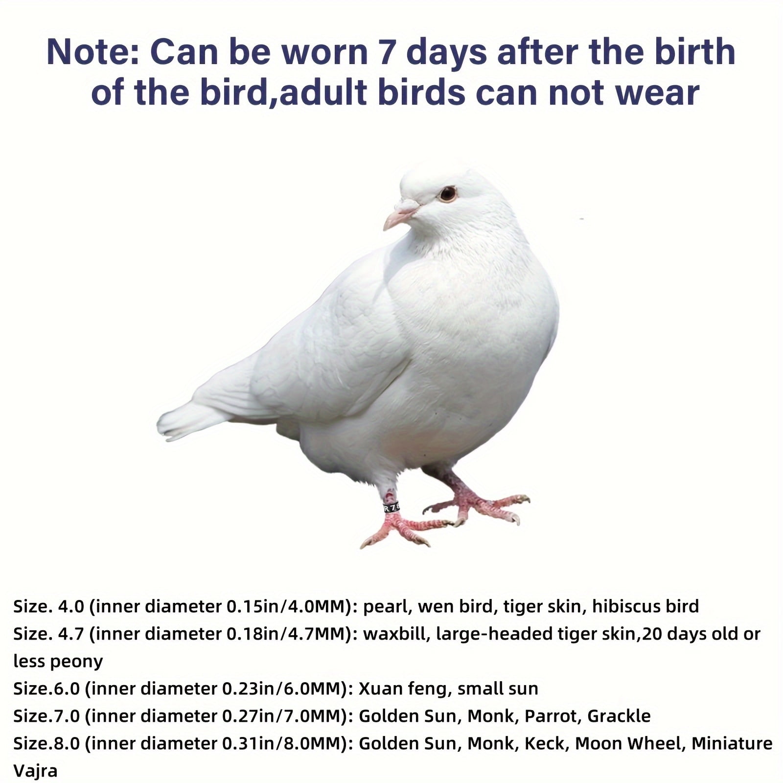 15 pcs/pack bird rings, Bird foot bands, bird leg rings, multi-color ...