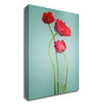 thumbnail image 1 of 15" x 25" Blue poppy by PhotoINC Studio - Wall Art Print on Canvas Fabric White, 1 of 3