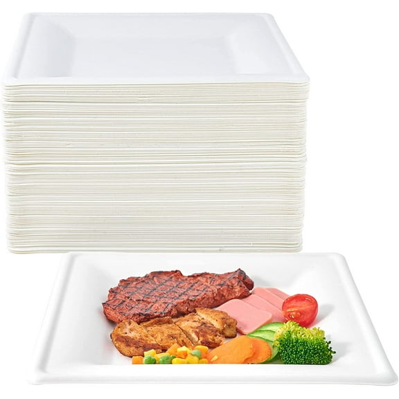 150 Count 10 Inch Square Compostable Sugarcane Bagasse Plates White