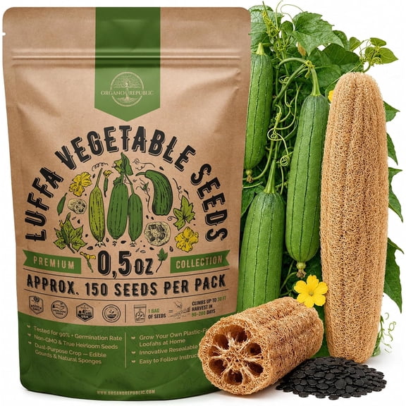 150 Luffa Seeds for Planting - 0.5 oz Heirloom Pack 2026, Loofah Aegyptiaca Gourd Seeds Non-GMO for Outdoor Vegetable Gardens and Trellis Vines
