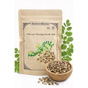 150+ Moringa Seeds Moringa Oleifera   Fast Growing Tree Seeds for Planting, Warm Climate, Outdoor Garden Use