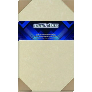  Springhill 11 X 17 Blue Copy Paper, 24lb Bond/60lb Text,  89gsm, 2,500 Sheets (5 Ream)Colored Printer Paper
