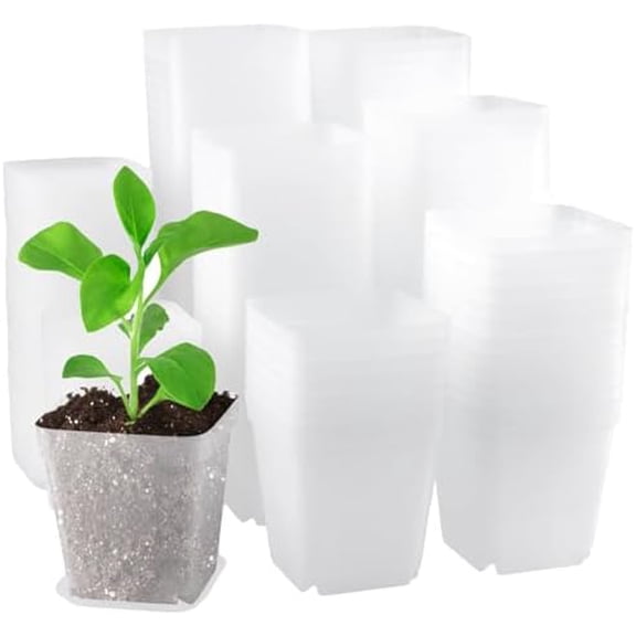 150 Pcs Nursery Plant Pots, 3Inch Clear Square Herb Pots with Saucers, for Home, Office, Garden